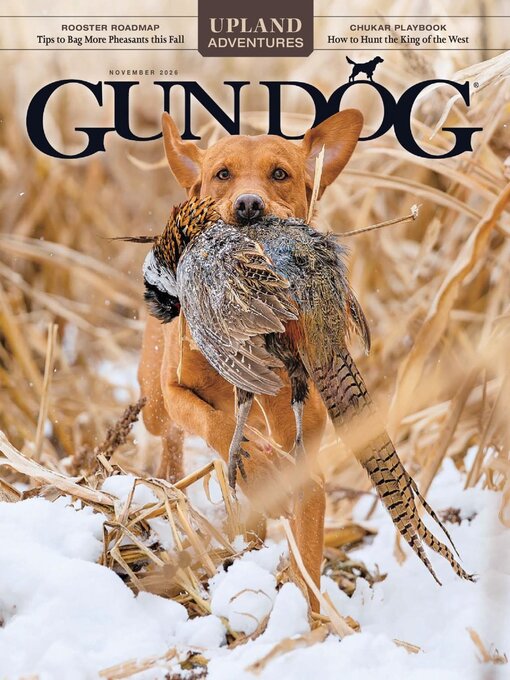 Cover image for Gun Dog